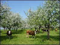Landschaftsbild