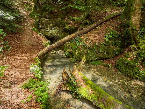 Ursprung Dorfbach