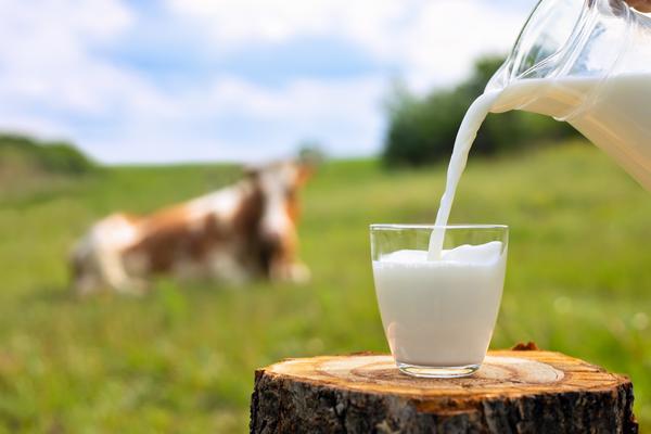 Pausenmilch