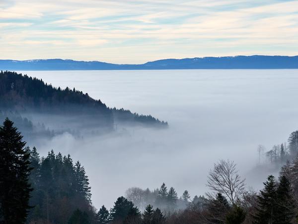 Nebellandschaft Wynigen-Berge