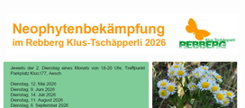 Neophytenbekämpfung im Rebberg