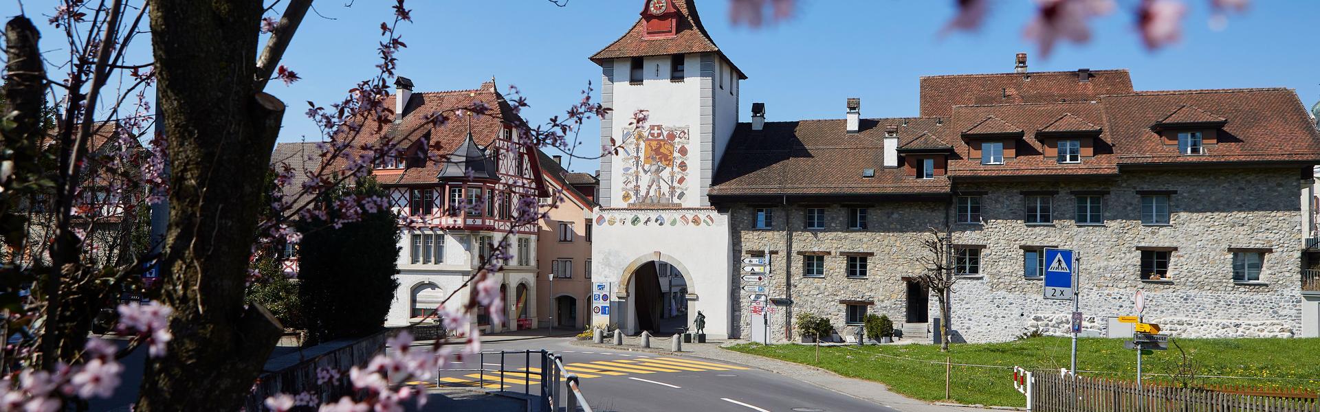 Raum Luzernertor