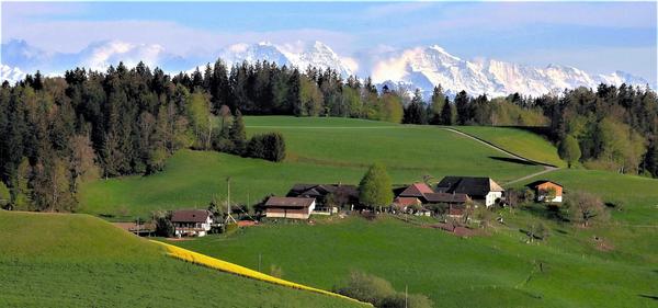 Häckligen, Foto Hans Schuler