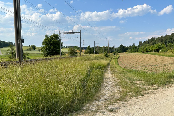 Standort Wendegleis
