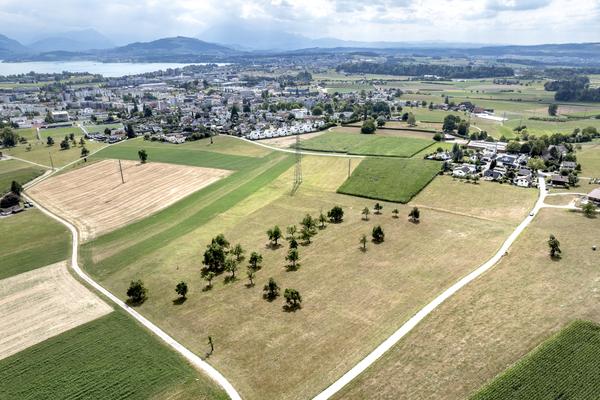 Trockene Landschaft rund um Steinhausen
