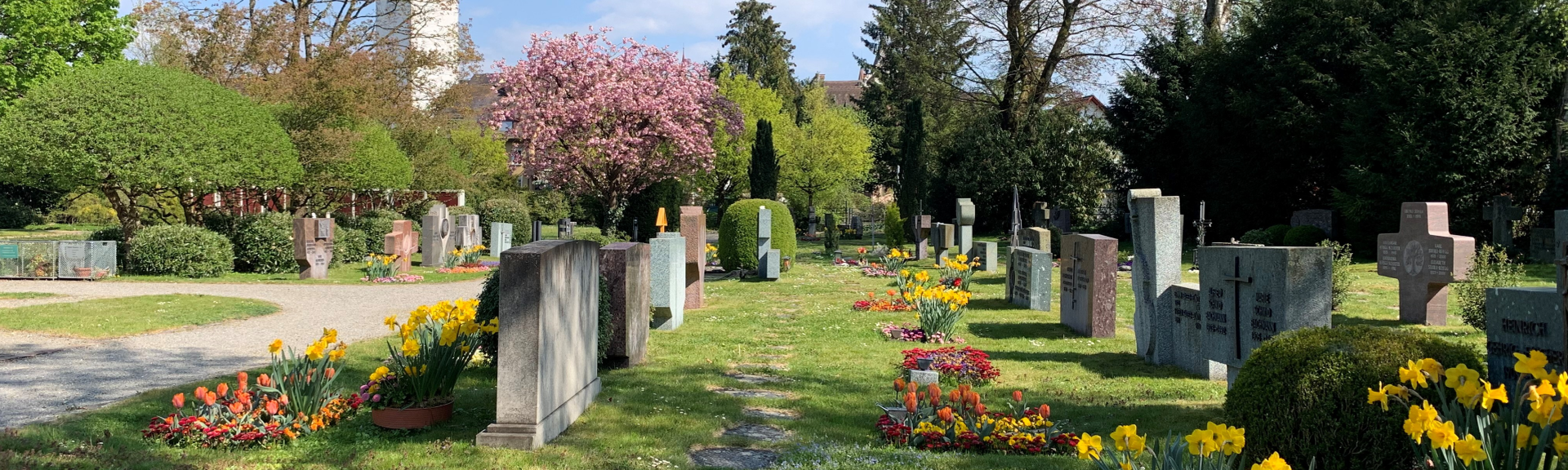 Blick zu den Familiengräber auf dem Friedhof Bremgarten