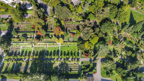 Friedhof 