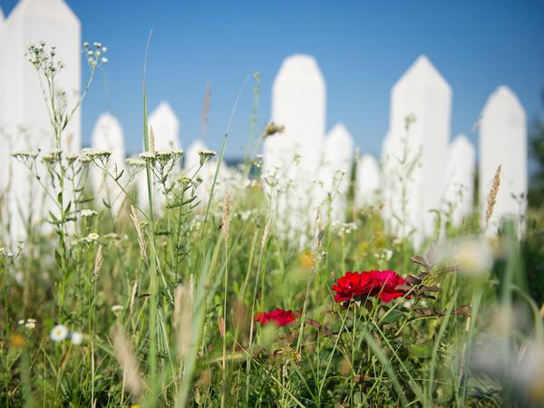 Friedhof in Kalesija