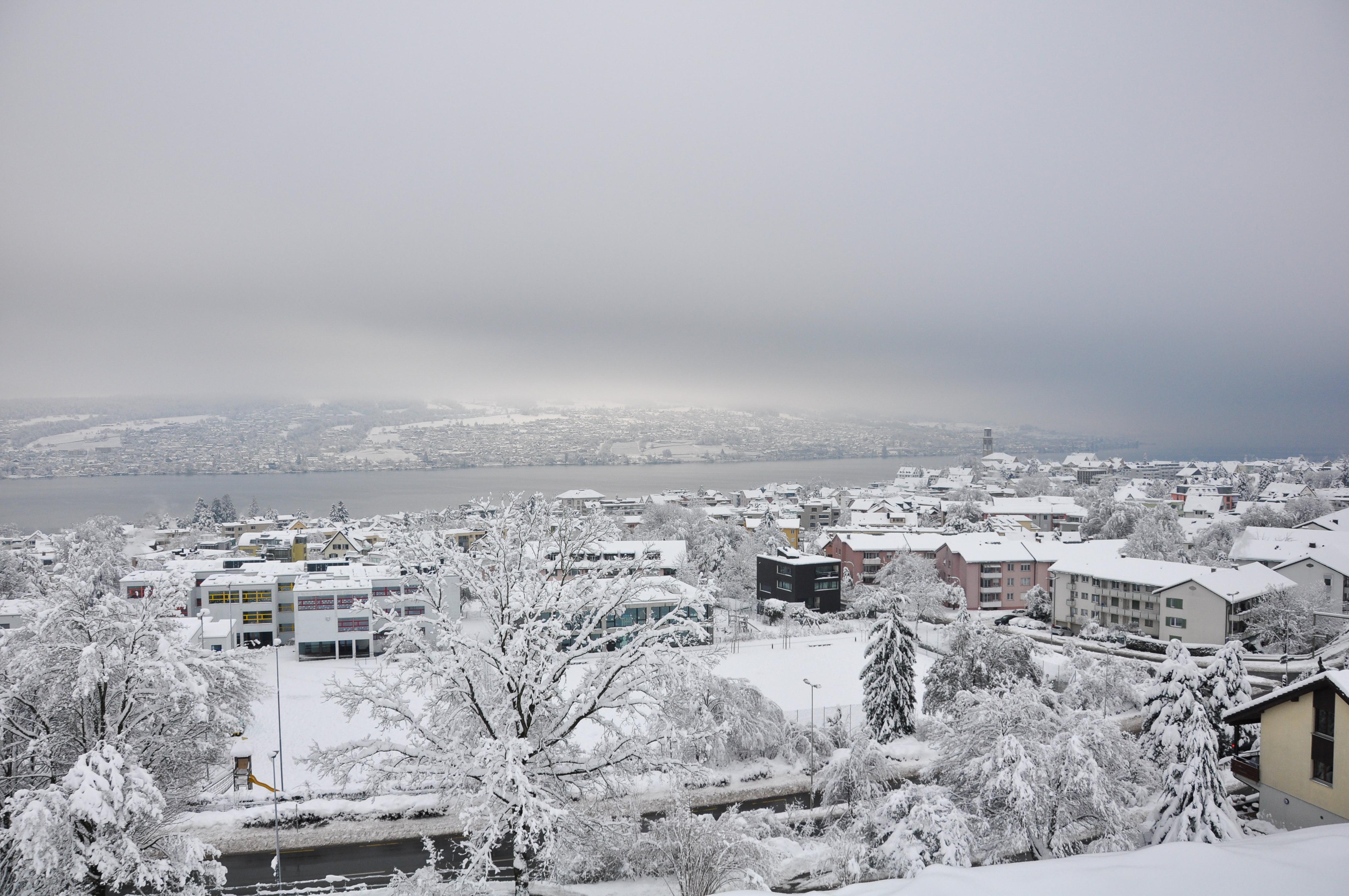 Thalwil im Winter 2021