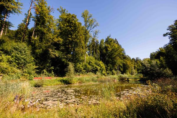 Sagiweiher
