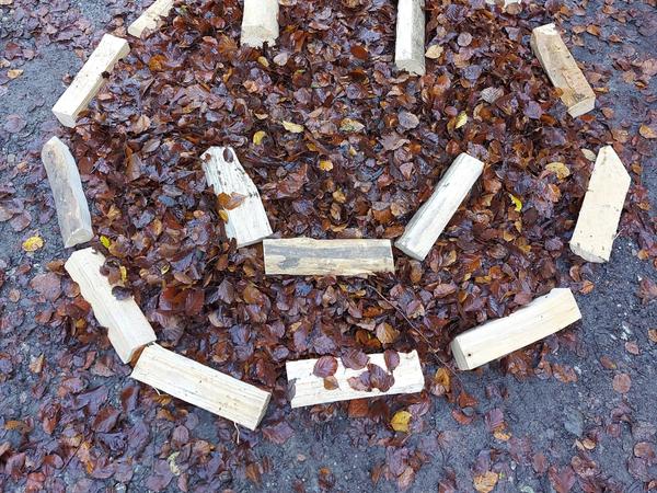 lachender Smiley aus Holzstücken auf braunem Laub